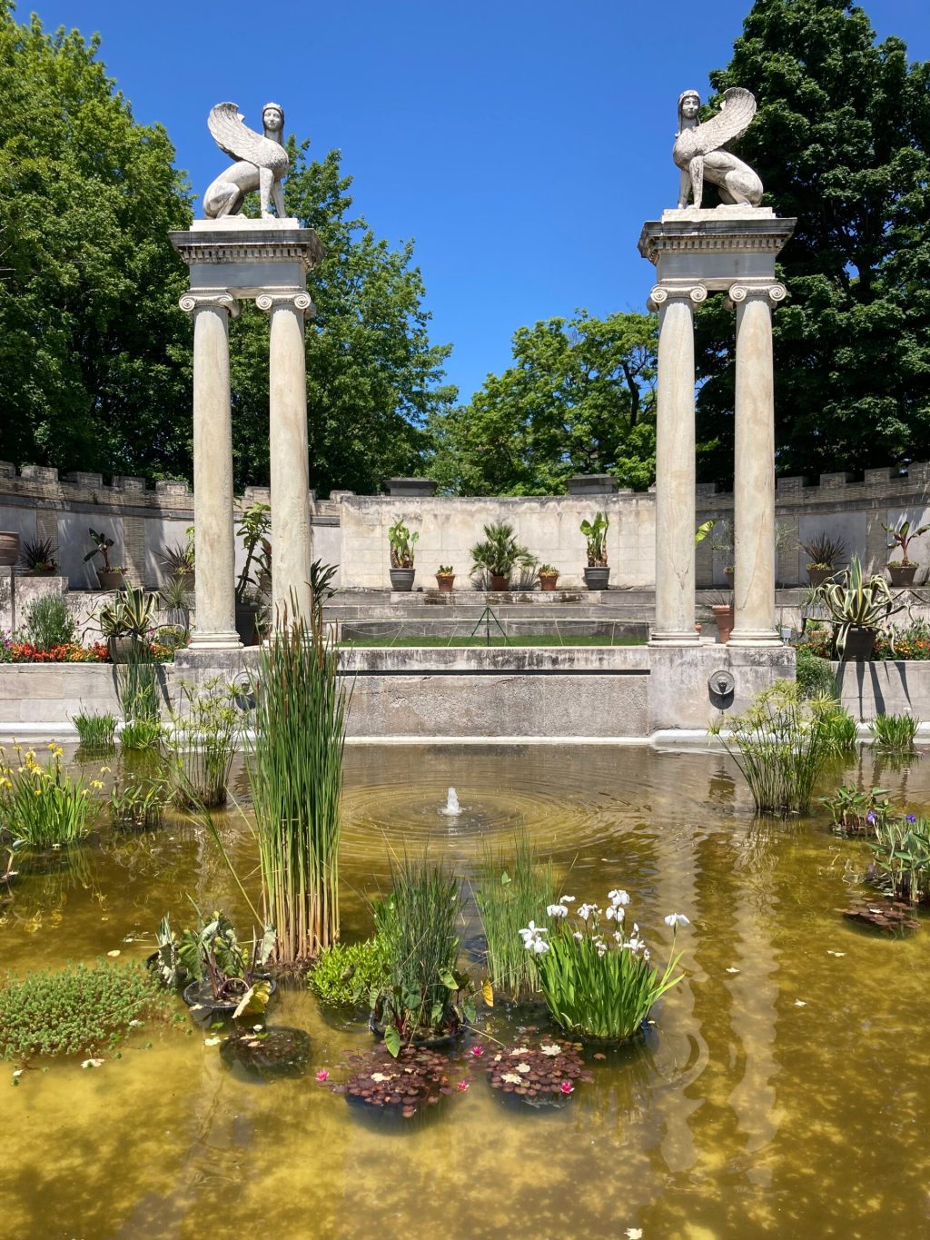 Week 8: 31st May to 6&nbsp;June